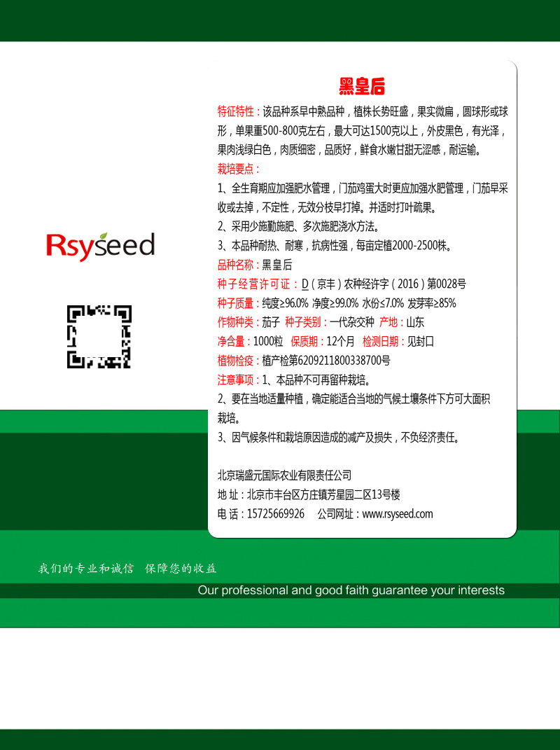 【牛商】黑圆茄种子黑皇后紫黑皮有光泽生吃水嫩甜不麻嘴