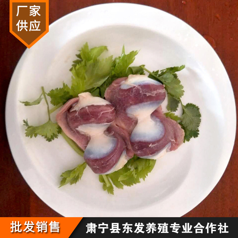 东发养殖厂家供应鸭胗冷冻鸭郡肝批发鸭肫鸭肉鸭胗