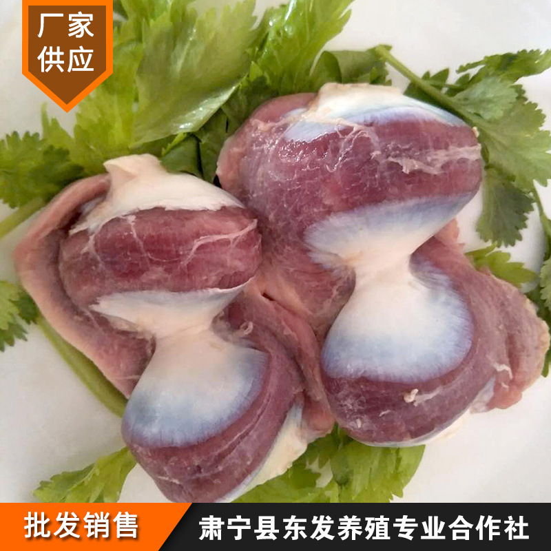 东发养殖厂家供应鸭胗冷冻鸭郡肝批发鸭肫鸭肉鸭胗