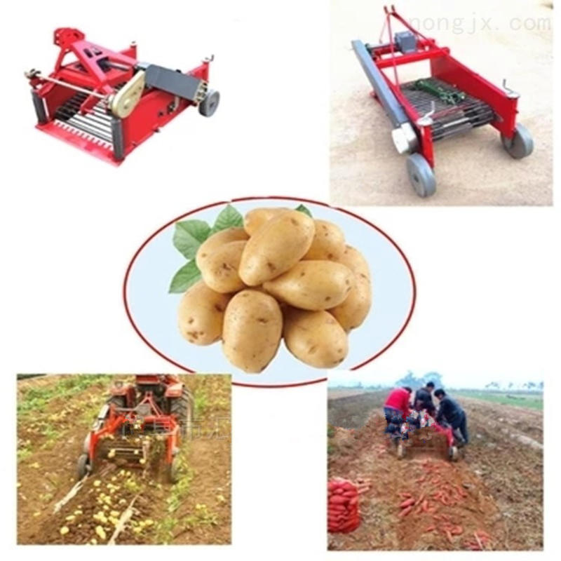 土豆地瓜收获机薯类收获机手扶四轮带动收红薯芋头机器规格多