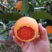 精品湖北脐橙，血橙，中华红甜度高，产地一手货源，全国发货