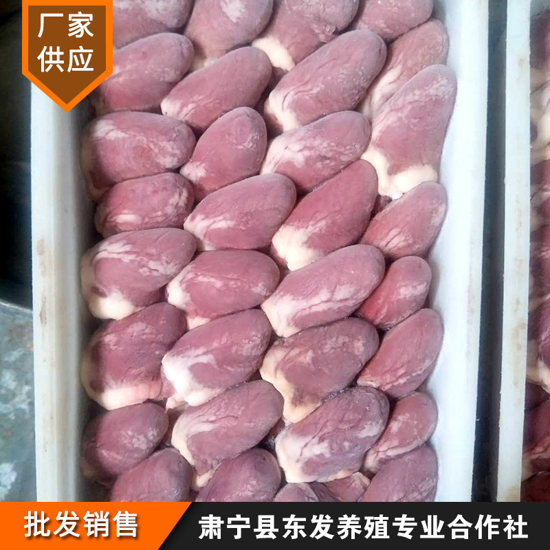 厂家养殖批发鸭心肝新鲜鸭心肝冷冻加工心肝批发鸭心肝