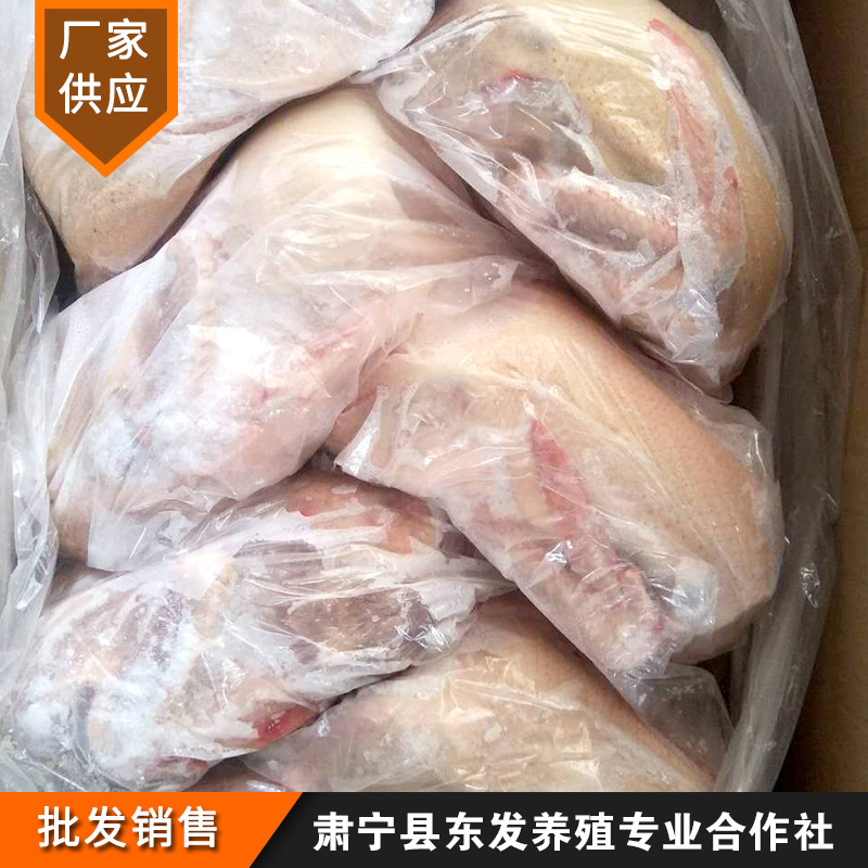厂家供应开背老麻鸭鸭肉供应冰鲜冷冻白条鸭批发麻鸭