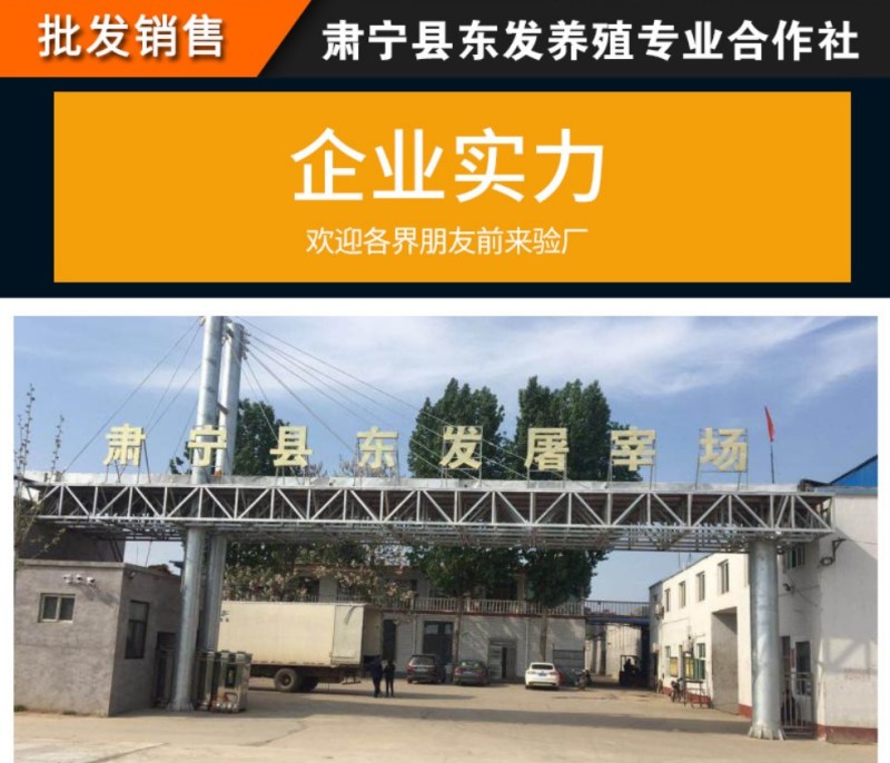 厂家生产新鲜冷冻老鸭40斤装餐厅用鸭肉老鸭