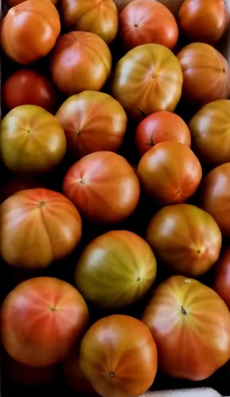 【精选】番茄种子大果草莓西红柿秘鲁蜜粉糖度高绿肩明显高产