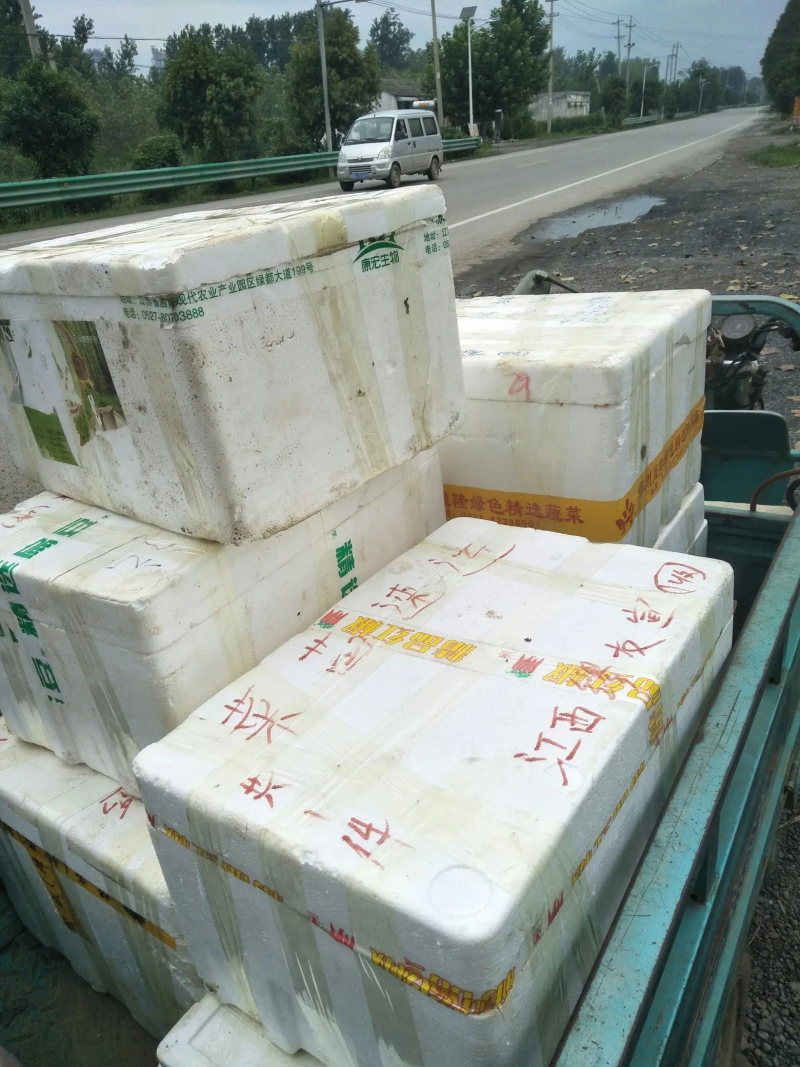 西红柿苗种子已脱毒品种全售后好有中华粉冠硬果