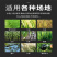 割草机汽油机背负式四冲程小型多功能农用打草锄草机割灌机