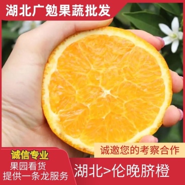 伦晚脐橙，橙子，酸甜可口，货源充足，优质货源
