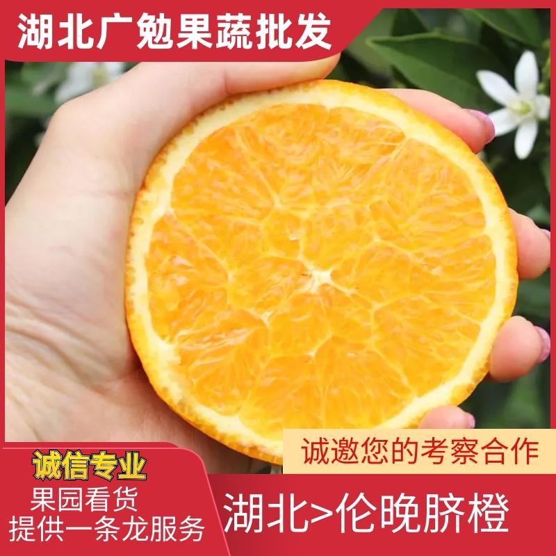 伦晚脐橙，橙子，酸甜可口，货源充足，优质货源