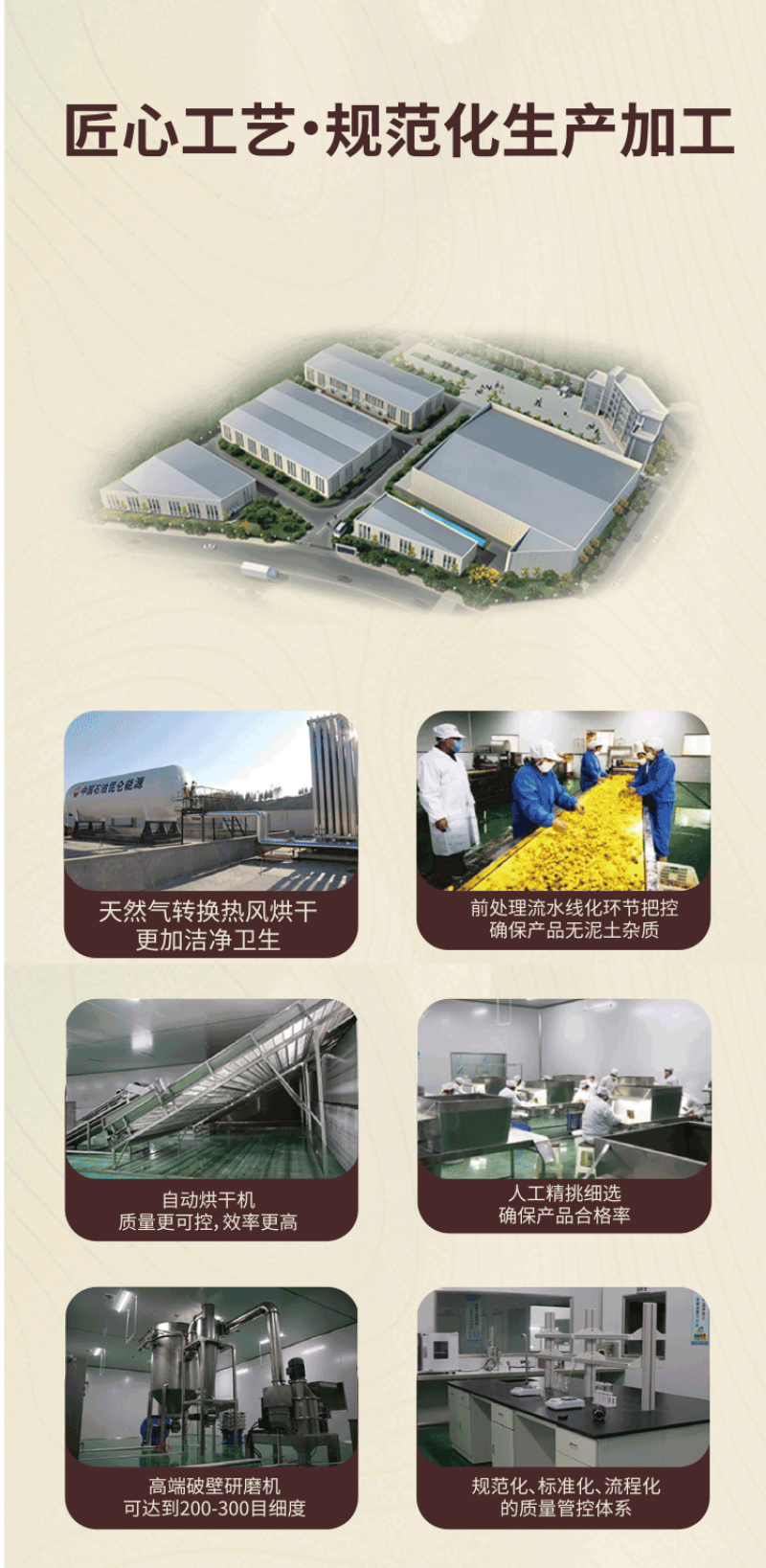 姜丸云南罗平小黄姜散装批发代发OEM颗粒