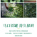 碧螺春绿茶正宗2026年新茶明前春茶浓香型茶叶500g