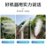 手推式打药机农用果园喷农药打药车高压汽油消毒机防疫喷雾器
