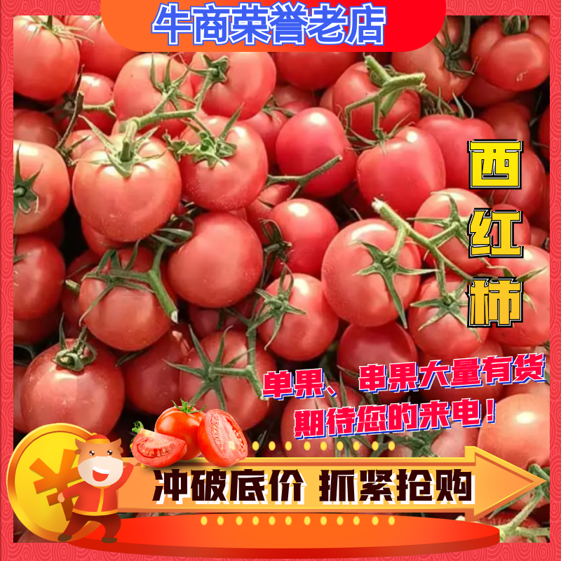 【电商推荐】西红柿货源充足供应【价格美丽】欢迎咨询看货