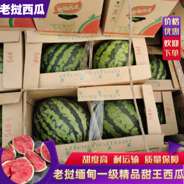 【推荐】老挝缅甸一级精品甜王西瓜，大量上市，香甜可口