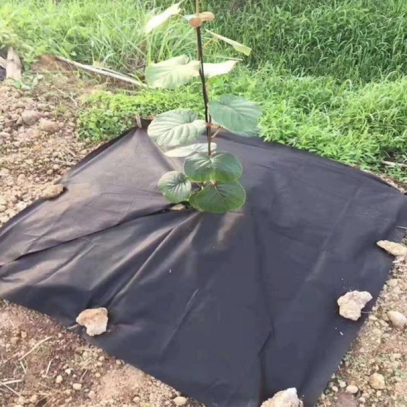 切片PP1米宽防草布打孔切片开缝防草布切片除草布地布