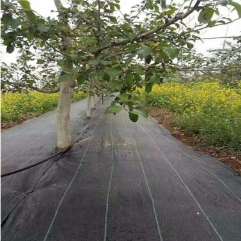 100克打孔1米宽防草布片状，单张，免费加工