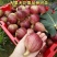 无花果树果苗波姬红盆栽地栽南方北方种植当年结果特大无花果