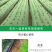 现货直销农用抗老化药材除草布防冻防草园艺地布除草地膜一件