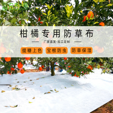 厂家直销农夫一品果园防草布多功能耐用透水透气除草布防草