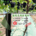 生态葡萄除草布轻柔农用园林地膜果园遮阳防晒除草防草布