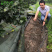 生态葡萄除草布轻柔农用园林地膜果园遮阳防晒除草防草布