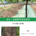 生态葡萄除草布轻柔农用园林地膜果园遮阳防晒除草防草布