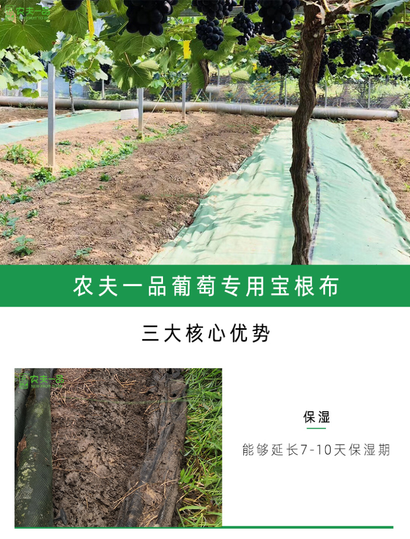 生态葡萄除草布轻柔农用园林地膜果园遮阳防晒除草防草布
