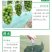 生态葡萄除草布轻柔农用园林地膜果园遮阳防晒除草防草布