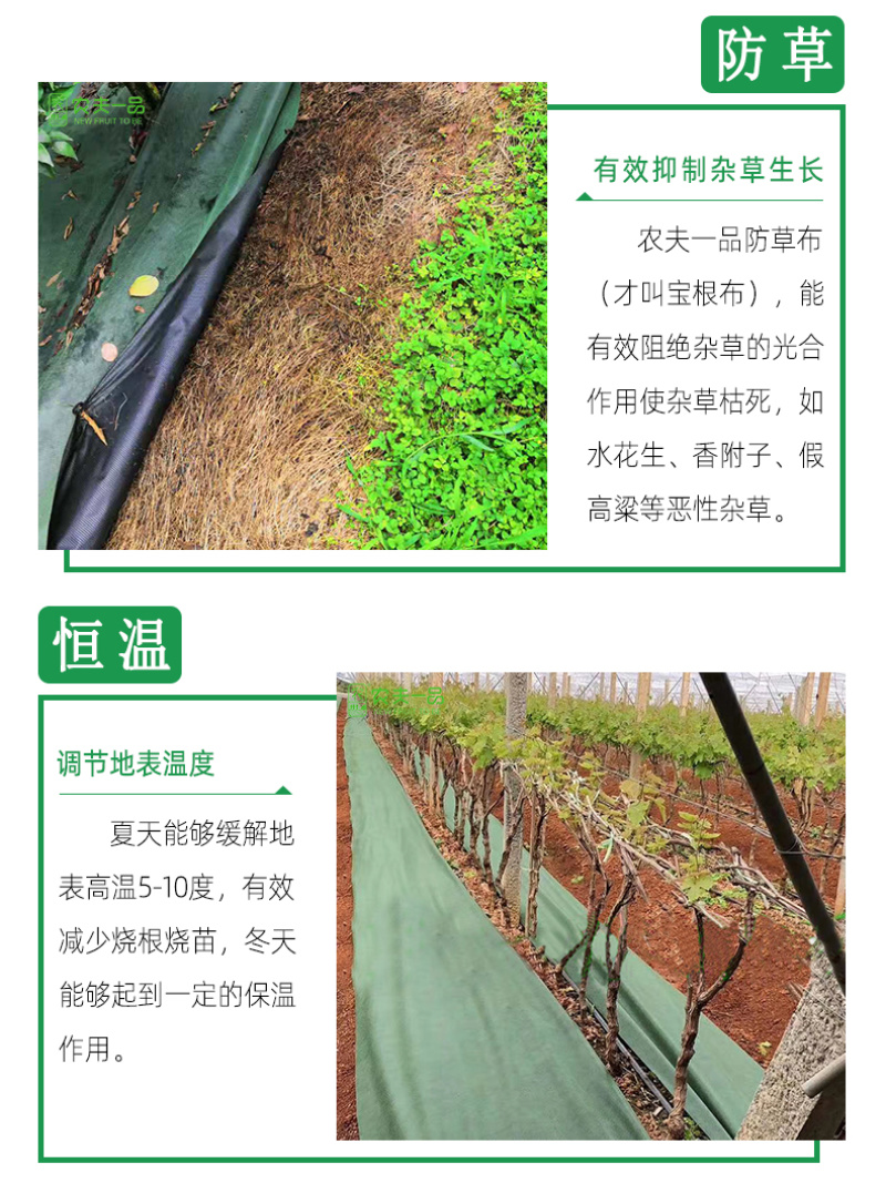 生态葡萄除草布轻柔农用园林地膜果园遮阳防晒除草防草布