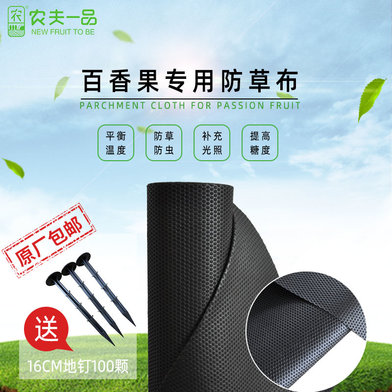 农用百香果防草布黑色保温防虫可降解地膜盖草布遮草布厂家