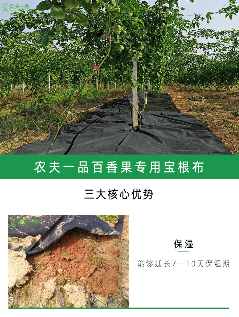 农用百香果防草布黑色保温防虫可降解地膜盖草布遮草布厂家