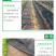 农用百香果防草布黑色保温防虫可降解地膜盖草布遮草布厂家