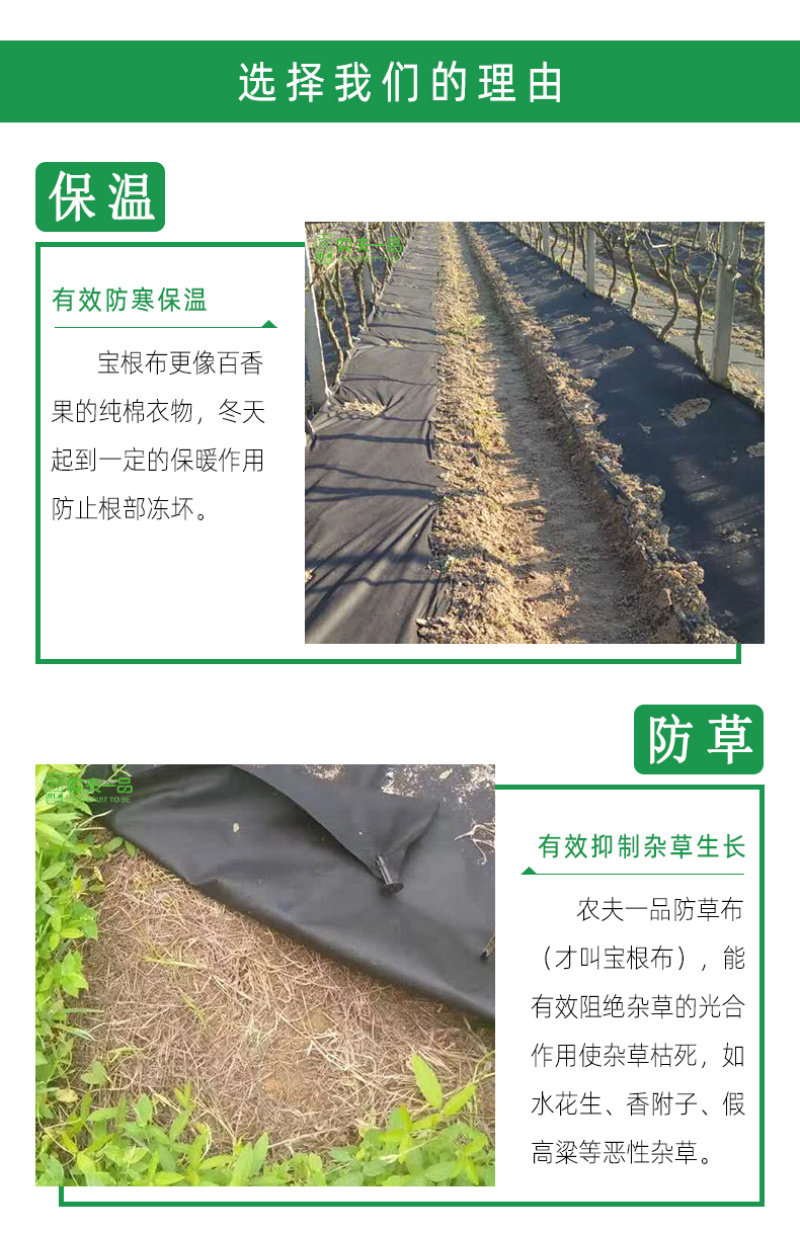 农用百香果防草布黑色保温防虫可降解地膜盖草布遮草布厂家