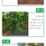 农用百香果防草布黑色保温防虫可降解地膜盖草布遮草布厂家