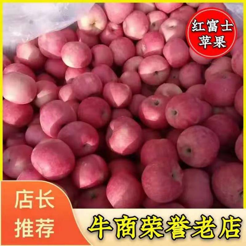 山东产地直供红富士苹果大量出库中规格齐全价格便宜