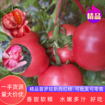 陕西泾阳普罗旺斯西红柿香甜软糯，水嫩多汁产地直发量大价优