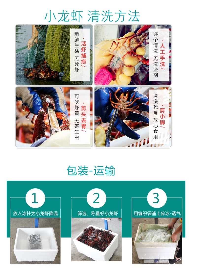 湖北潜江小龙虾，活体硬规格齐全，不掺死虾，基地直供