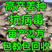 重庆姜种产地批发，包回收，指导种植，亩产过万