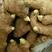 高产姜种产地直销。亩产过万，提供姜种技术指导脱毒姜种