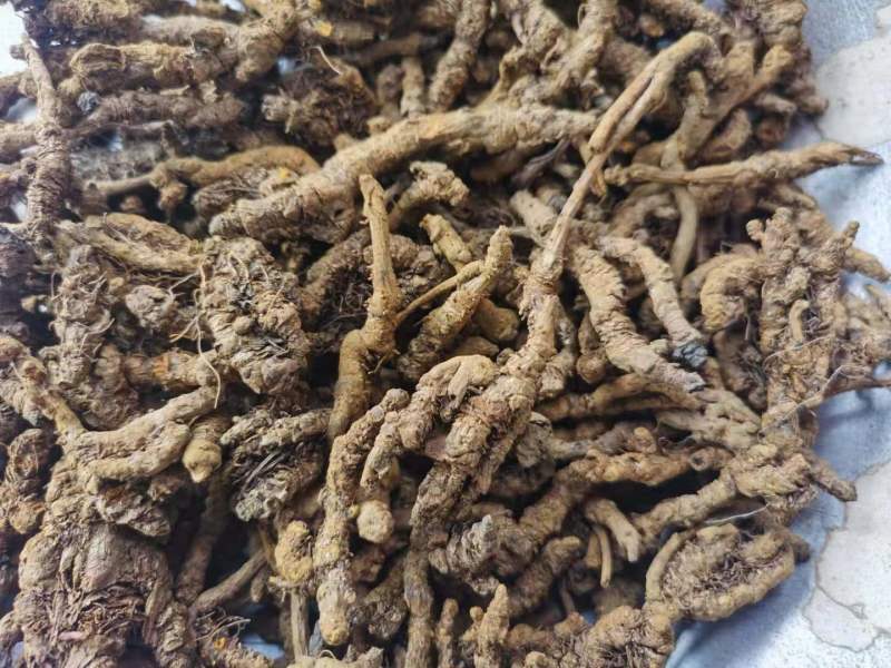 宪军药材栈黄连新货高含量欢迎下单选购