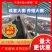 成套养殖大棚，生产大棚钢管欢迎前来洽谈合作