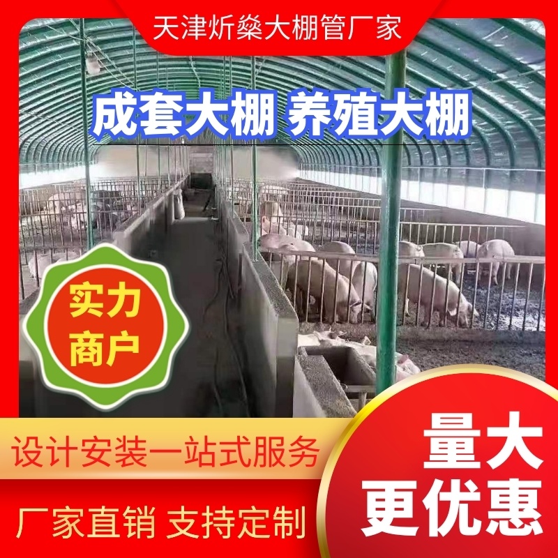 成套养殖大棚，生产大棚钢管欢迎前来洽谈合作