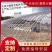 蔬菜大棚，春秋棚成品展示质量保证，欢迎前来洽谈合作