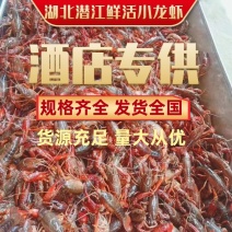 潜江优质鲜活小龙虾红虾，发货全国，提供《小龙虾检疫报告》