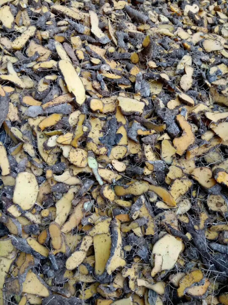 黄姜切片机何首乌切片机多功能半夏魔芋削片机厚薄可调家用电