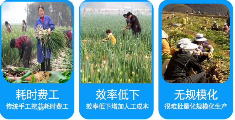 大葱收获机加厚加重双梁收葱机起葱机震动抖土挖葱机收树苗机