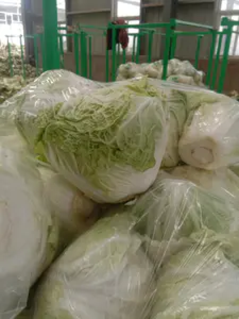 新乡小包大白菜三只五斤质量好，价格优惠，欢迎客户前来购买