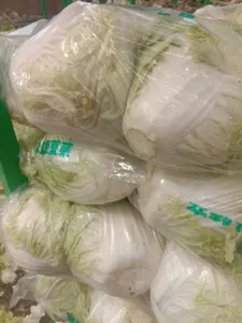 新乡小包大白菜三只五斤质量好，价格优惠，欢迎客户前来购买
