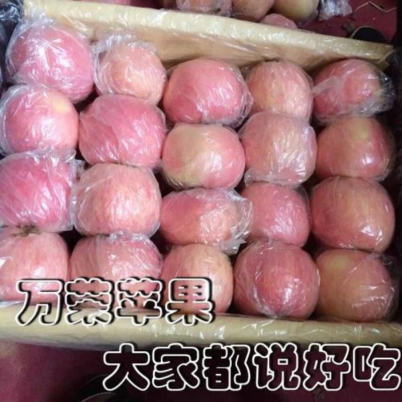 万荣苹果冰糖心苹果(果大味甜品质好)货源充足价格便宜
