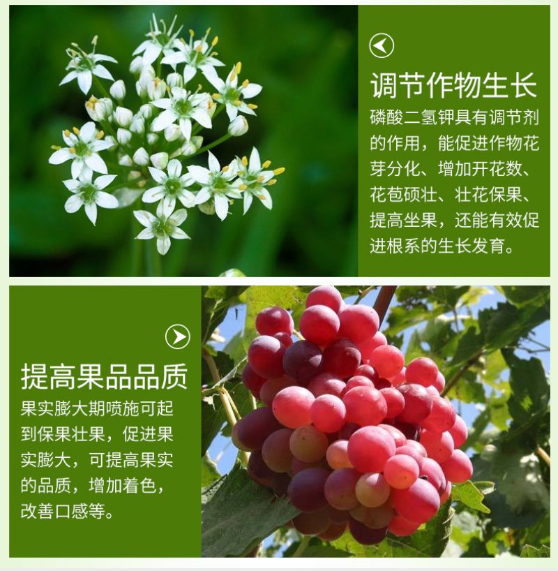 磷酸二氢钾叶面肥农用通用型花卉果树水溶肥钾肥冲施钾肥